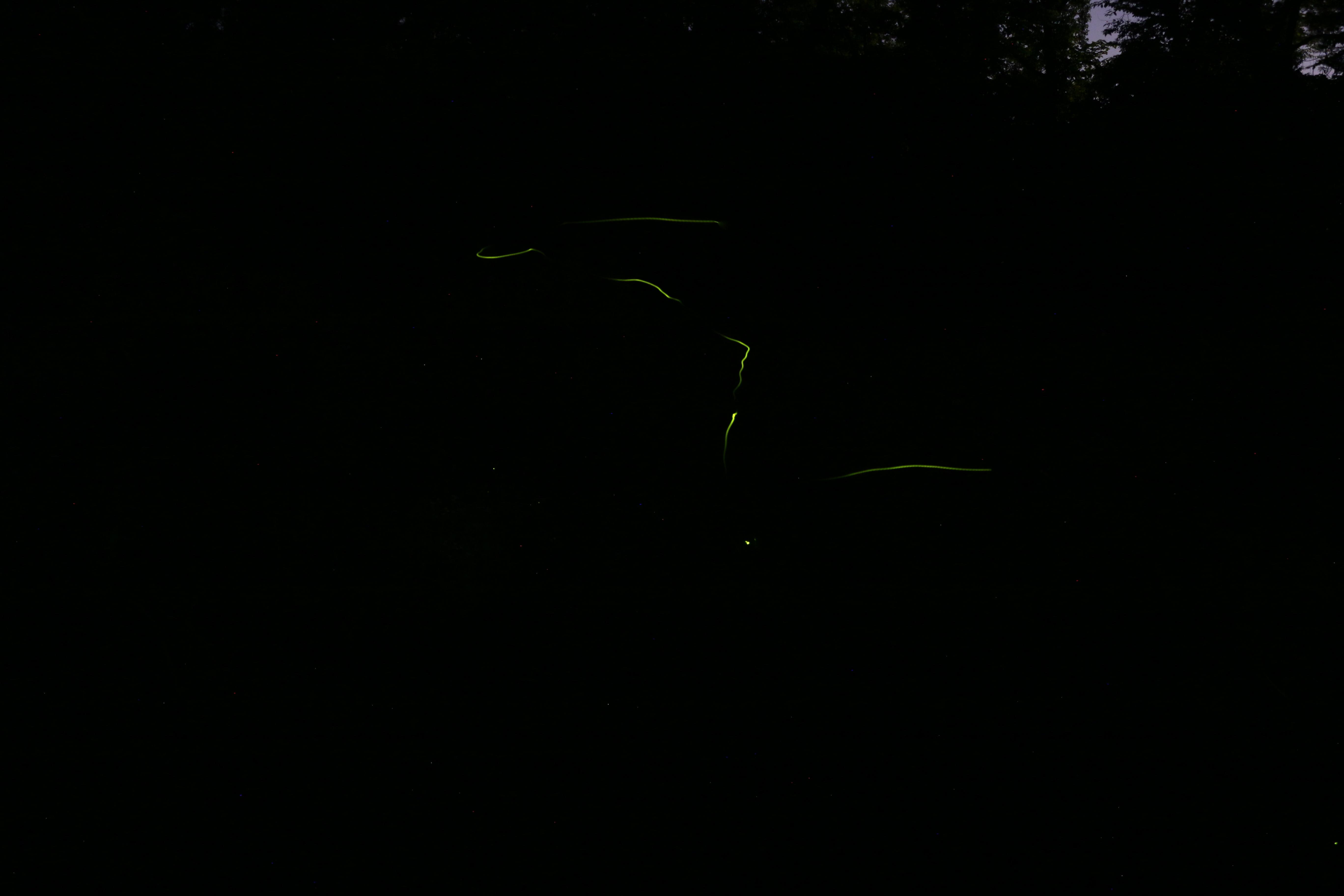IMG_7346 IMG_7346