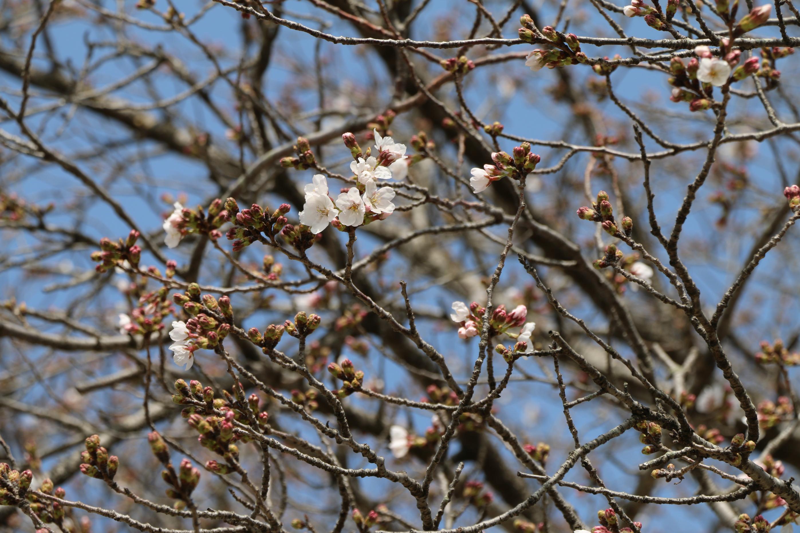 IMG_7313 IMG_7313