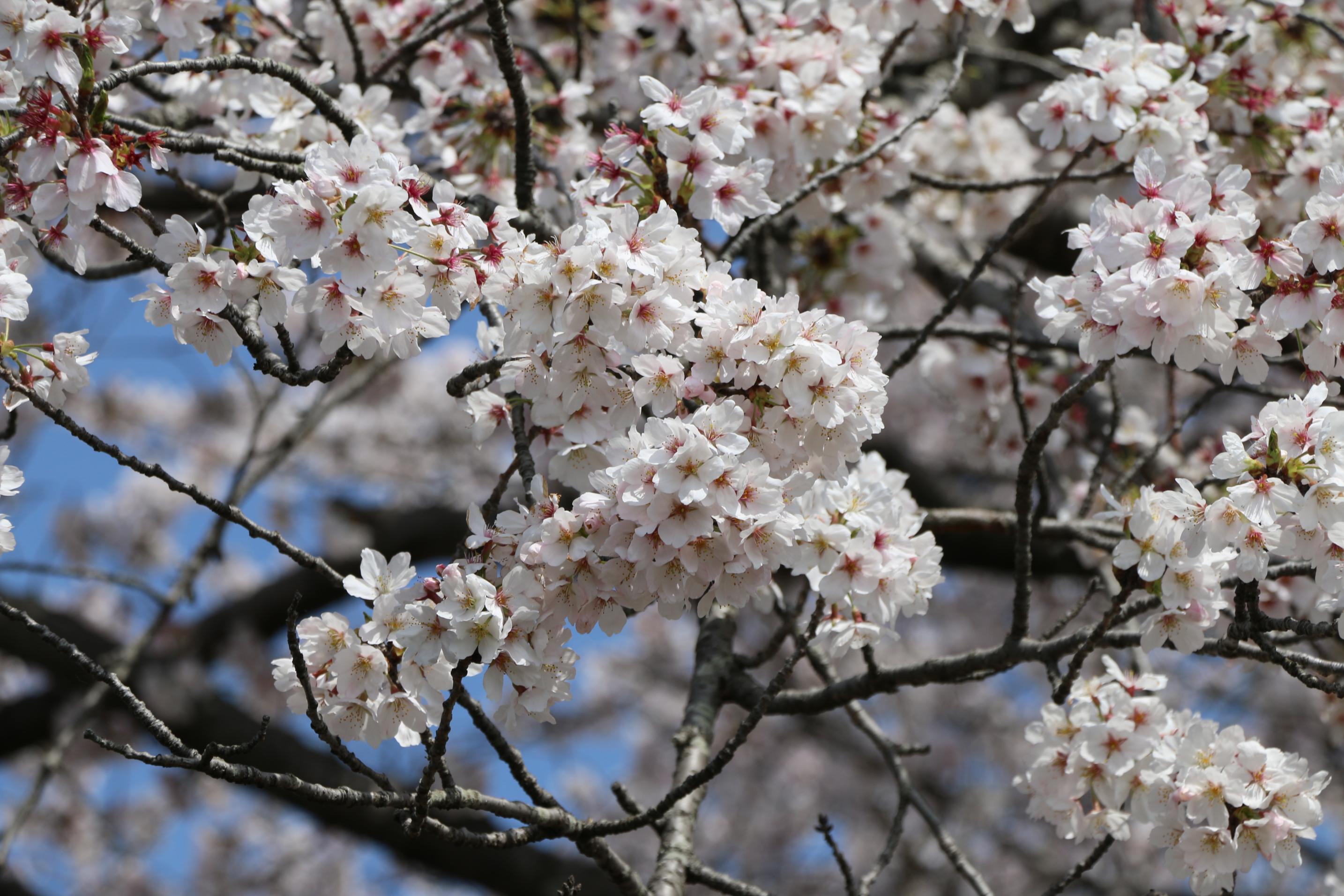 IMG_7597 IMG_7597