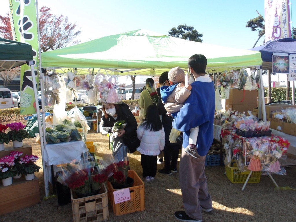 photo_20251208-052401 photo_20251208-052401