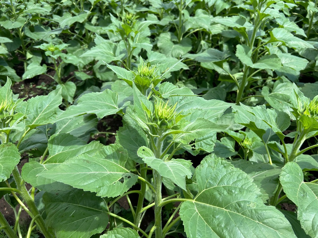 photo_20260814-011538_2